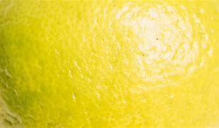 Image result for Lemon Texture