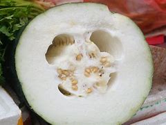 Image result for Time-Lapse Gourd Rot