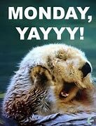 Image result for Hello Monday Meme