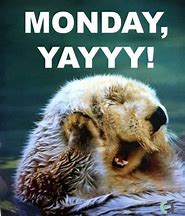 Image result for Cute Monday Meme