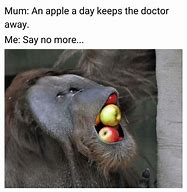 Image result for An Apple a Day Keeps Anyone Away Meme