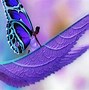 Image result for Butterfly Screensavers Free