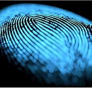 Image result for Fingerprint Print