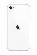 Image result for iPhone SE 3 versus 2 Red