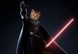 Image result for Cat Star Wars No Background