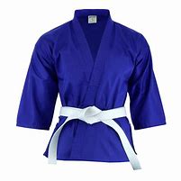 Image result for GI Karate Uniform