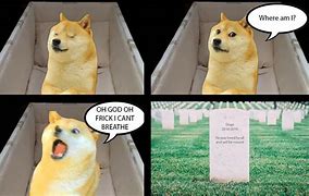 Image result for Panic Doge Mem