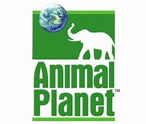 Image result for Animal Planet Logo.png