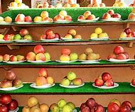 Image result for Preschool Apple Arts and Crafts