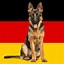 Image result for German Soldier Hunting Dogs