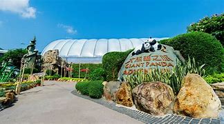 Image result for Ocean Park Panda