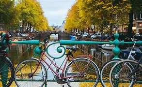 Image result for Amsterdam Bicycle Tours