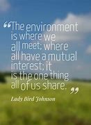 Image result for Environmental Impact Quotes