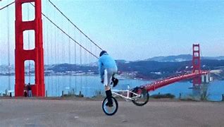 Image result for BMX Memes