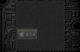 Image result for A14 Bionoc Chip