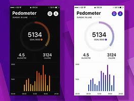 Image result for Map Pedometer