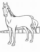 Image result for Horse Kids