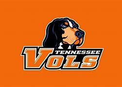 Image result for Tennessee Vols Smokey