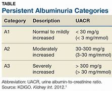 Image result for albuminuroa