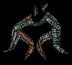 Image result for Wrestling Workouts