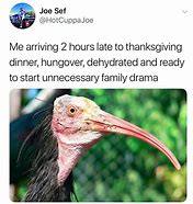 Image result for Thanksgiving Eve Meme