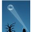 Image result for Bat Signal with Extra Long Wings