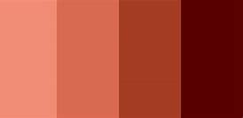 Image result for Terracotta Color Palette Windows