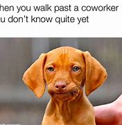 Image result for Funny Office Appropriate Memes