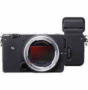 Image result for Viewfinder Lag with Mirrorless Camera