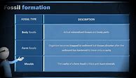 Image result for History of Life Grade 10 Life Sciences