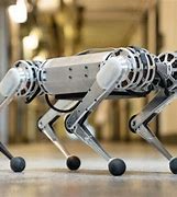 Image result for MIT Robotics