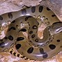 Image result for Jawbone Animal