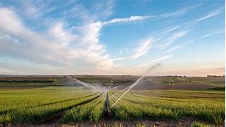 Image result for 4 Types of Irrigation