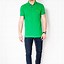 Image result for Light Green Polo Shirts Men