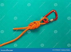 Image result for Belay Carabiner