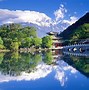 Image result for Akihabara Japan Nature