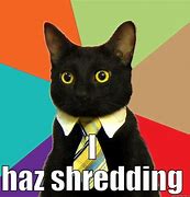 Image result for Shredded Couch Cat Meme