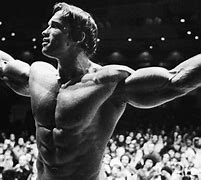 Image result for Arnold Schwarzenegger Conquerer
