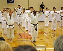 Image result for Types of Martial Arts in America