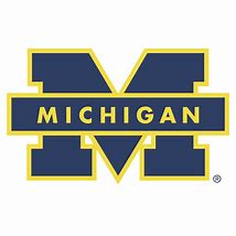 Image result for Michigan Wolverines Football