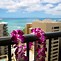 Image result for Waikiki Resort Hotel Logo