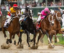 Image result for Race Horse Esky