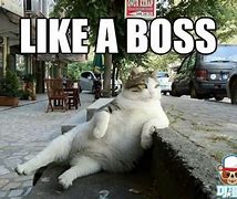 Image result for Actually Like a Boss Meme