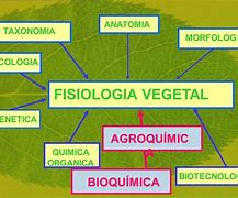 Image result for agroqu�mica