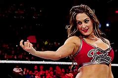 Image result for WWE Nikki Bella No