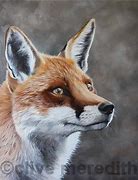 Image result for UK Wildlife Art Fox On Black