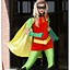 Image result for Robin Costume Adult