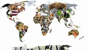 Image result for Symbols of Countries National Animal