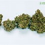 Image result for 1G of Weed