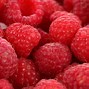 Image result for Raspberry Fruit Background